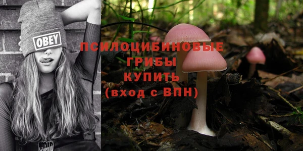 кристаллы Абаза