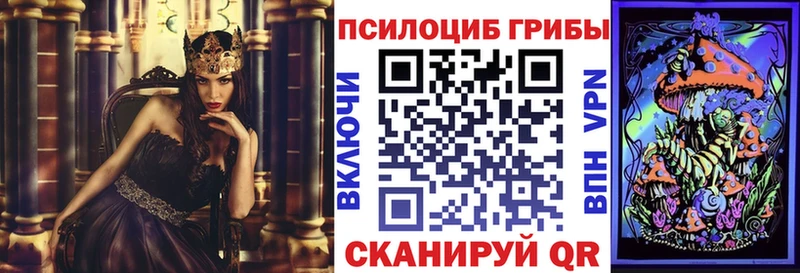 Псилоцибиновые грибы MAGIC MUSHROOMS  Алзамай 